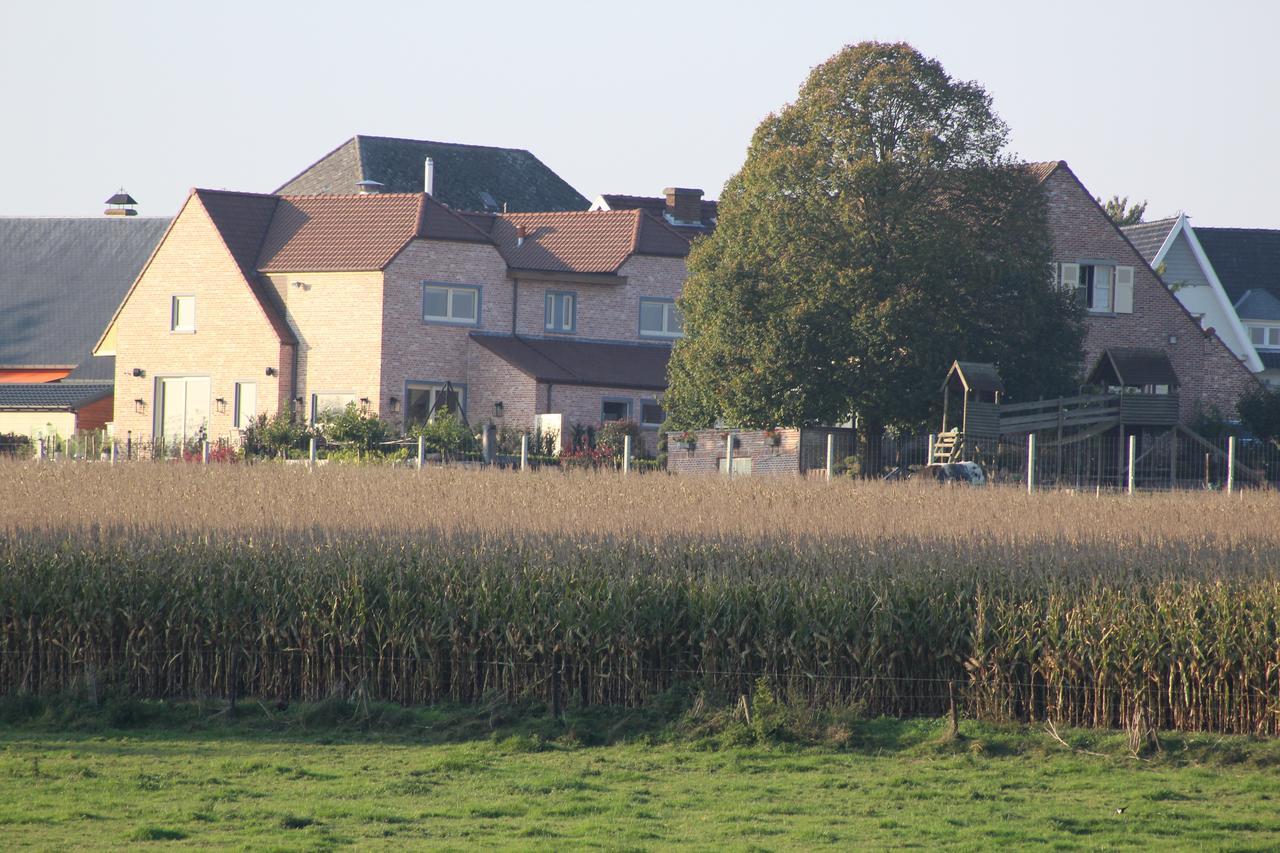 Cafcauter Bed & Breakfast Sint-Pieters-Kapelle  Exterior photo